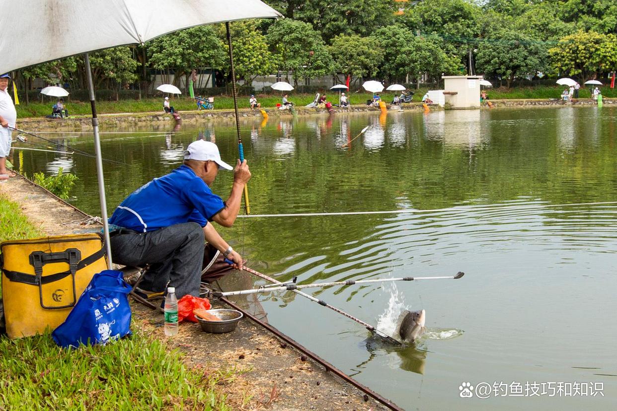 春季钓罗非鱼的水深、鱼窝和鱼饵味型，4个窍门助你钓罗非爆护
